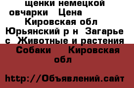 щенки немецкой овчарки › Цена ­ 10 000 - Кировская обл., Юрьянский р-н, Загарье с. Животные и растения » Собаки   . Кировская обл.